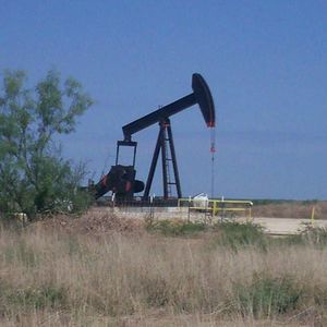 Meet your Posher, Donald